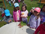 Zahradničíme ve školce